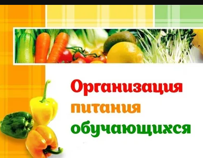 Информация об условиях питания обучающихся.